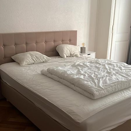 Appartement A Geneve מראה חיצוני תמונה